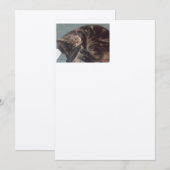 Speelse Dave Ambachtelijk: Voorgevoelen Ecru Uitno Kaart (Voorkant / Achterkant)