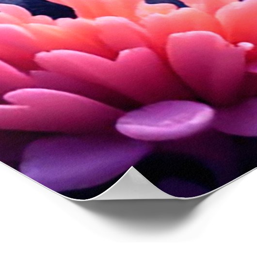 Speelse dolfijn en kleurrijk zeeleven poster (Hoek)