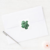 Speelse groene LUCKY COINS Stickerontwerp Vierkante Sticker (Envelop)