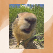 Speelse Groundhog Close-up Briefkaart