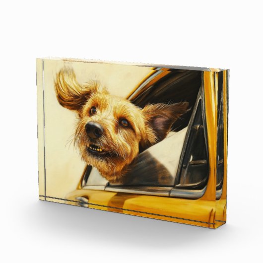 Speelse hond genieten van autorit Art Print Fotoblokken (Rechts)