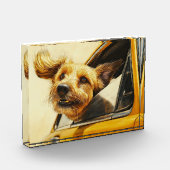 Speelse hond genieten van autorit Art Print Fotoblokken (Links)