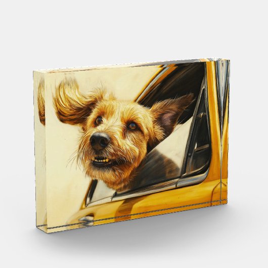 Speelse hond genieten van autorit Art Print Fotoblokken (Links)