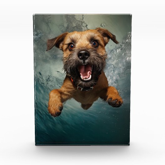 Speelse hond zwemmen onder water ontwerp fotoblokken (Voorkant)