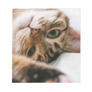 speelse kat notitieblok