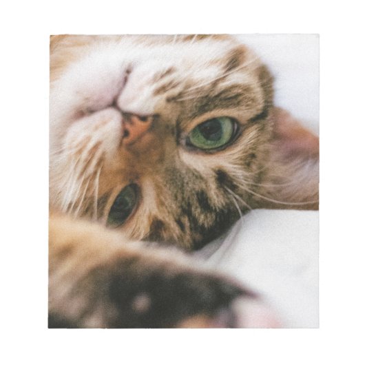 speelse kat notitieblok (Voorkant)
