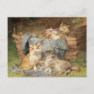 Speelse katten   Julius Adam de Jongere Briefkaart