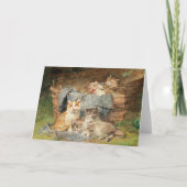 Speelse katten | Julius Adam de Jongere Kaart (Voorkant)