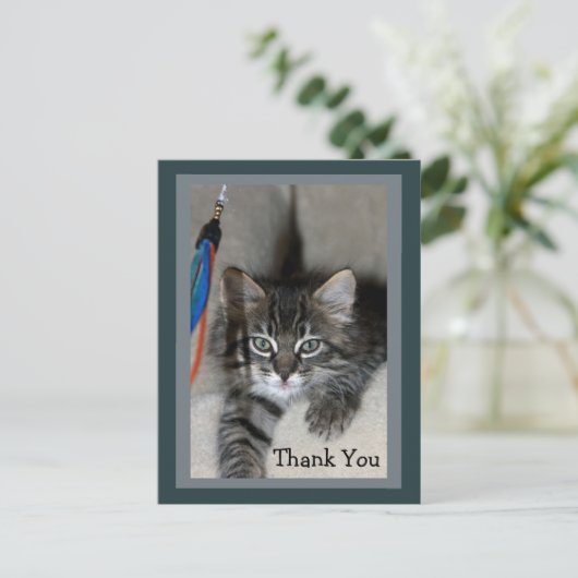 Speelse Kitten Kimber Bedankt Briefkaart (Staand voorkant)