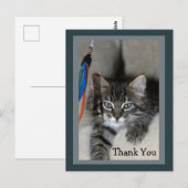 Speelse Kitten Kimber Bedankt Briefkaart (Voorkant / Achterkant)