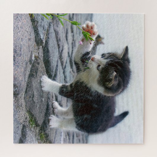 Speelse Kitten Legpuzzel (Horizontaal)