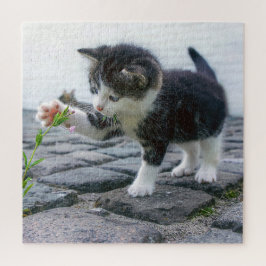 Speelse Kitten Legpuzzel