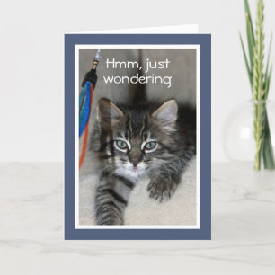 Speelse Kitten Verjaardag Kaart