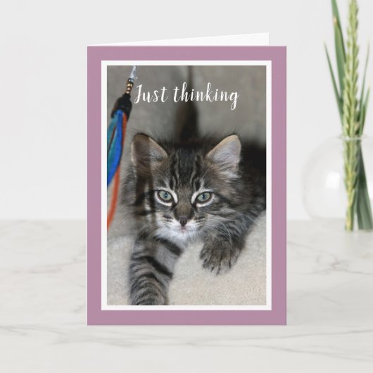 Speelse Kitten Vriendschap Kaart (Voorkant)