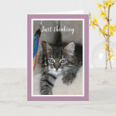 Speelse Kitten Vriendschap Kaart (Gele Bloem)