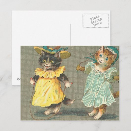 speelse kittens briefkaart (Voorkant / Achterkant)