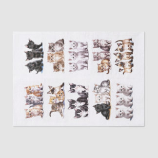 Speelse Kittens in sets van drie kieskeurige snede Tissuepapier
