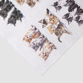 Speelse Kittens in sets van drie kieskeurige snede Tissuepapier (Detail)