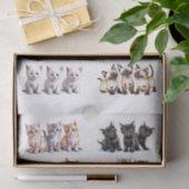 Speelse Kittens in sets van drie kieskeurige snede Tissuepapier (Geschenk)