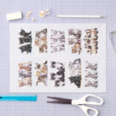 Speelse Kittens in sets van drie kieskeurige snede Tissuepapier (Craft)