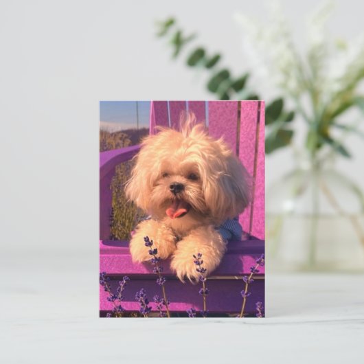 Speelse Knuffelige Shih Tzu Puppy Lachen (Dog Days Feestdagenkaart (Staand voorkant)
