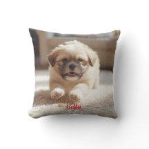 Speelse Lhasa Apso gepersonaliseerd