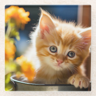 Speelse lieve kitten glazen onderzetter