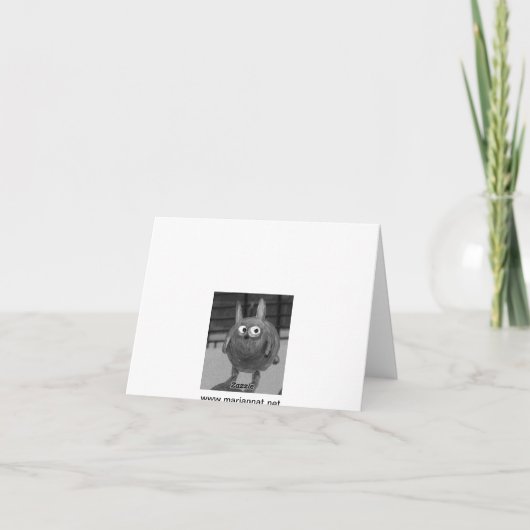 speelse octopus kaart (Achterkant)