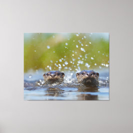 Speelse otters die opspringen uit het water met fo canvas afdruk