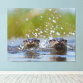 Speelse otters die opspringen uit het water met fo canvas afdruk (Insitu (Houten vloer))