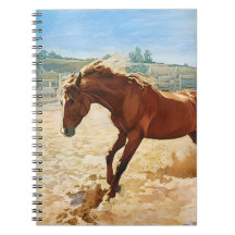 "Speelse Paard" Van Esorada