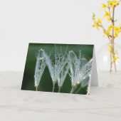 Speelse paardenbloem met dauw poëzie van Natuur Kaart (Gele Bloem)