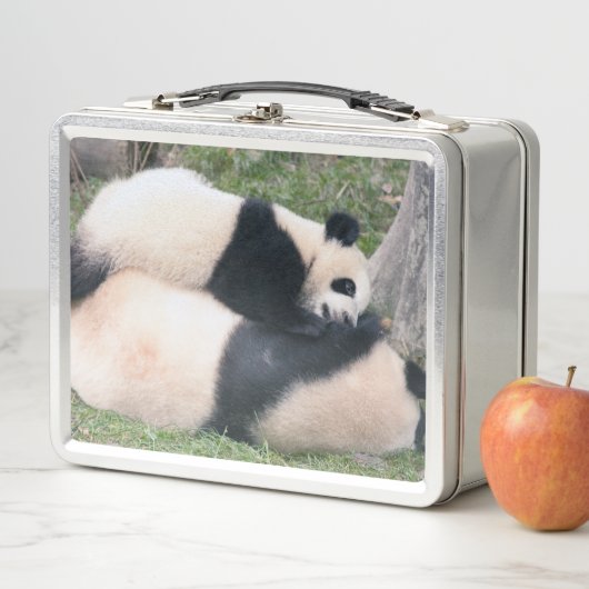 Speelse Panda Metal Lunchbox (In situ)