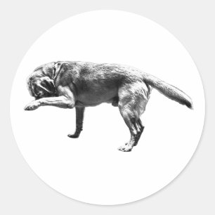 Speelse pootafdruk ronde sticker