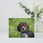 Speelse pup in het gras briefkaart (Staand voorkant)
