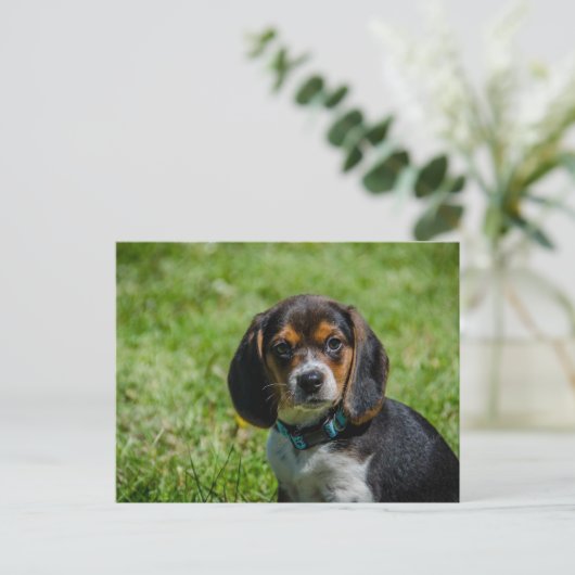 Speelse pup in het gras briefkaart (Staand voorkant)