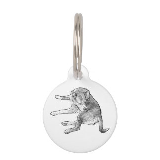 Speelse Puppy Tag Huisdierpenning