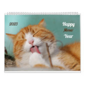 Speelse Schattigee Funny Cats Fotografie met Schat Kalender (Hoes)
