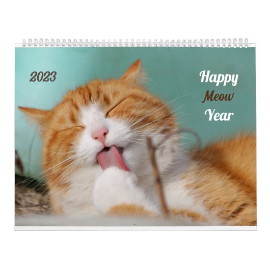 Speelse Schattigee Funny Cats Fotografie met Schat Kalender (Hoes)