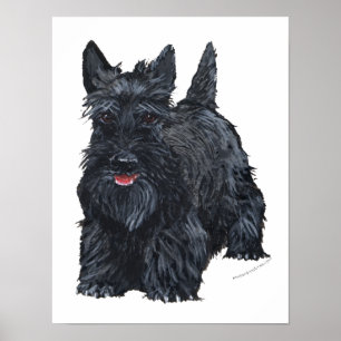 Speelse Schotse Terrier Poster