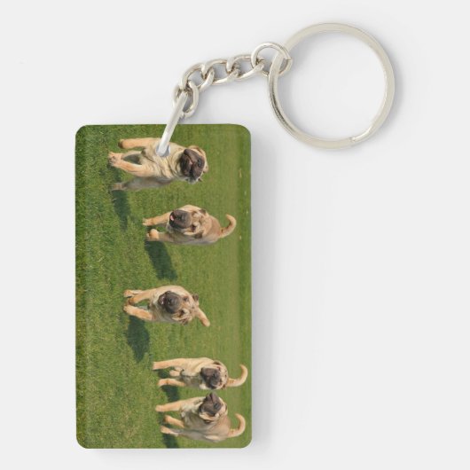 Speelse Shar Pei Pups Sleutelhanger (achterkant)