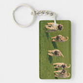 Speelse Shar Pei Pups Sleutelhanger (Voorkant)