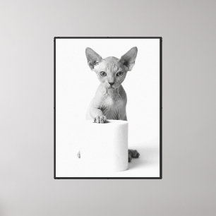 Speelse Sphynx Kat Bewaakt Toiletpapier Elegant Canvas Afdruk