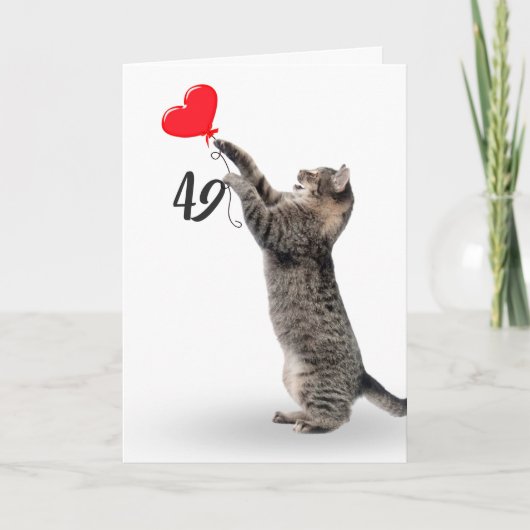 Speelse tabby kat voor 49e verjaardag kaart (Voorkant)