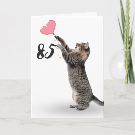 Speelse tabby kat voor 85e verjaardag kaart (Voorkant)