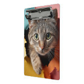 Speelse Tabbykat die door Gescheurd Papier gluurt Mini Klembord (Angled2)