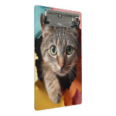 Speelse Tabbykat die door Gescheurd Papier gluurt Mini Klembord (Schuin)