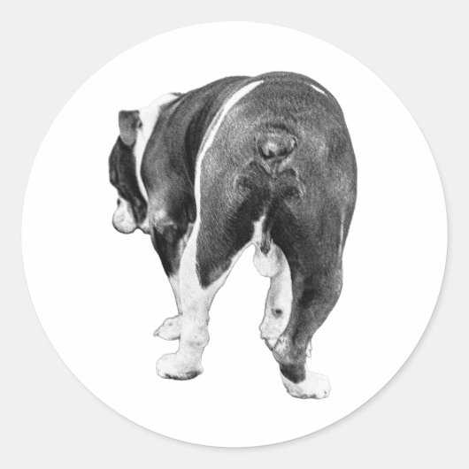 Speelse uitgang, gevederde winter schaduw ronde sticker (Voorkant)