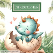 Speelse Uitkomen Binnenkort Baby Dinosaurus Waterv Kussen