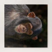 Speelse Ziel – Baby Chimpansee Close-Up Legpuzzel (Horizontaal)